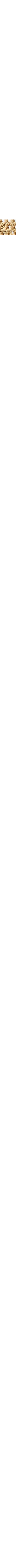 Ecru/Linen