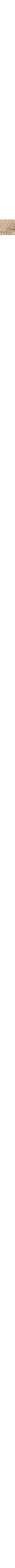 Ecru/Linen