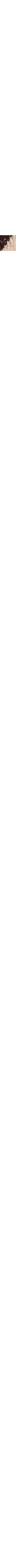 Patterned Ecru