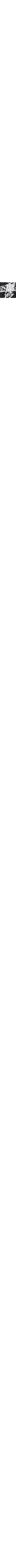 Blanc et noir