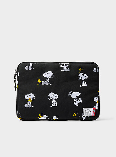 Anchor Peanuts computer case
