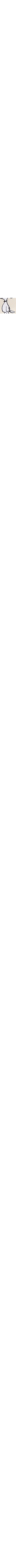 Blanc à motifs