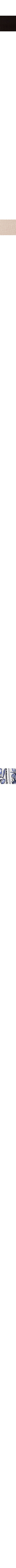 Bleu à motifs