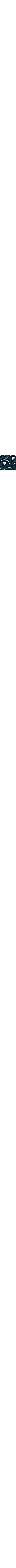 Bleu à motifs