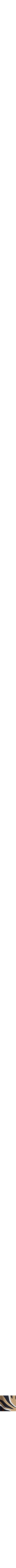 Orange à motifs