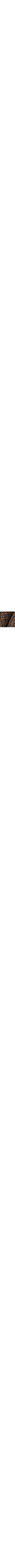 Vert à motifs