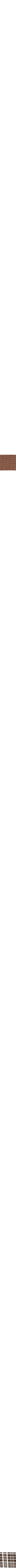 Brun à motifs
