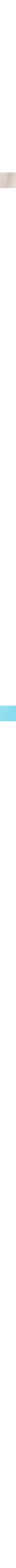 Blanc cassé