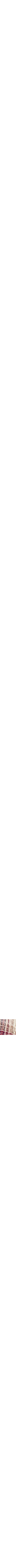 Rose à motifs