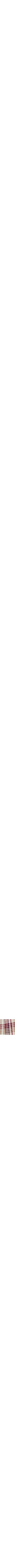 Rose à motifs