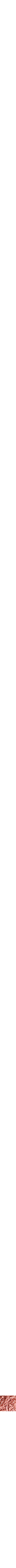 Orange à motifs