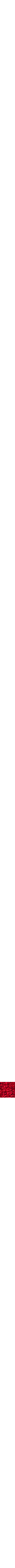 Rouge à motifs