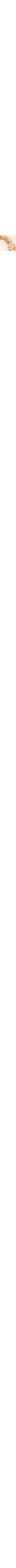 Écru à motifs