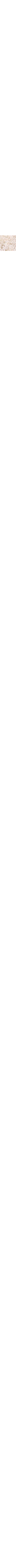Écru à motifs