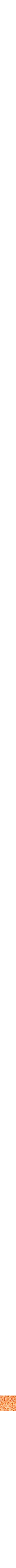 Orange à motifs