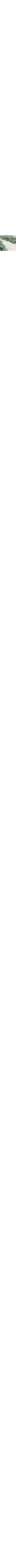 Écru à motifs