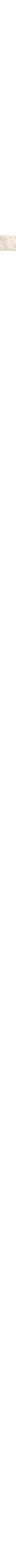 Écru à motifs