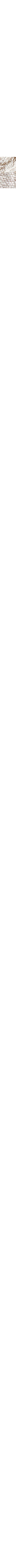 Blanc cassé