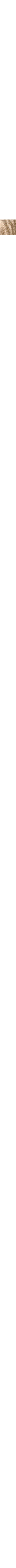 Écru - Lin