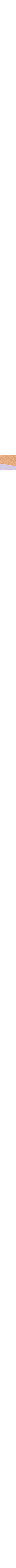 Brun à motifs