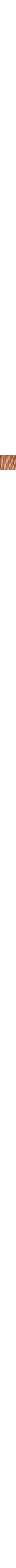 Brun à motifs