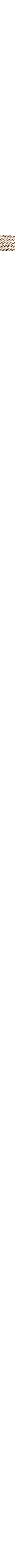 Écru à motifs