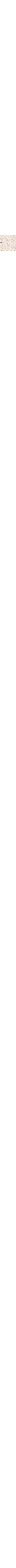 Écru à motifs