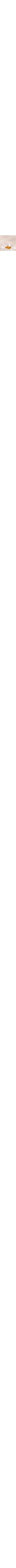 Écru à motifs