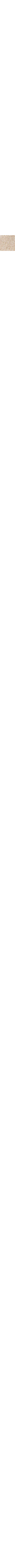 Patterned Ecru