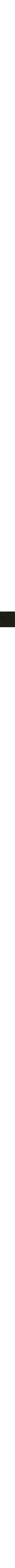 Vert à motifs