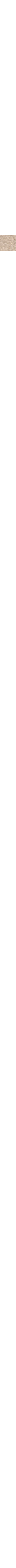 Patterned Ecru