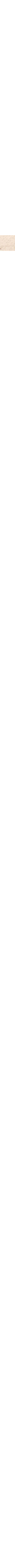 Écru à motifs