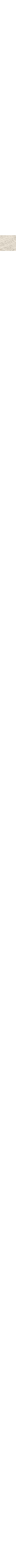 Écru à motifs