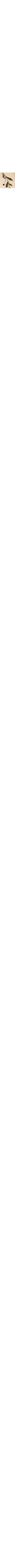 Blanc cassé