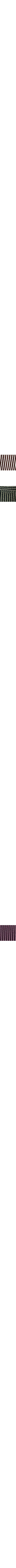 Brun à motifs