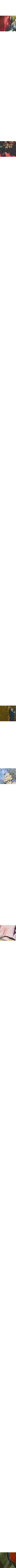 Assorti