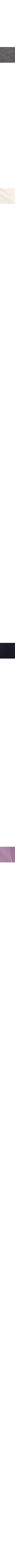 Gris foncé 