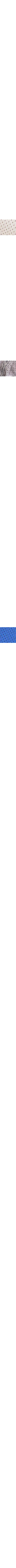 Écru - Lin