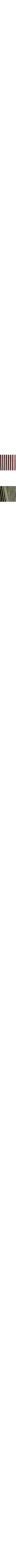 Brun à motifs