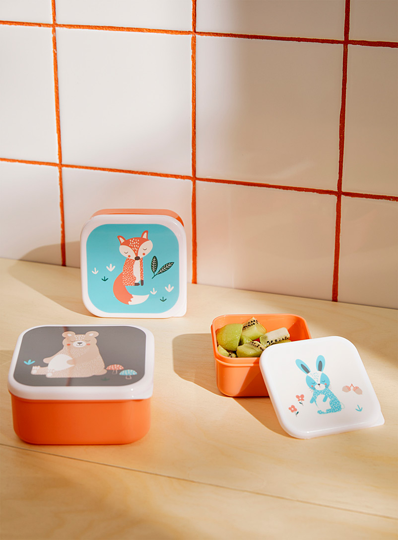 Ladelle Assorted Sleeping animals containers Set of 3