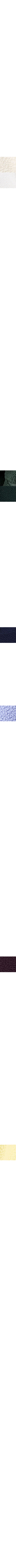 Jaune citron - Canari