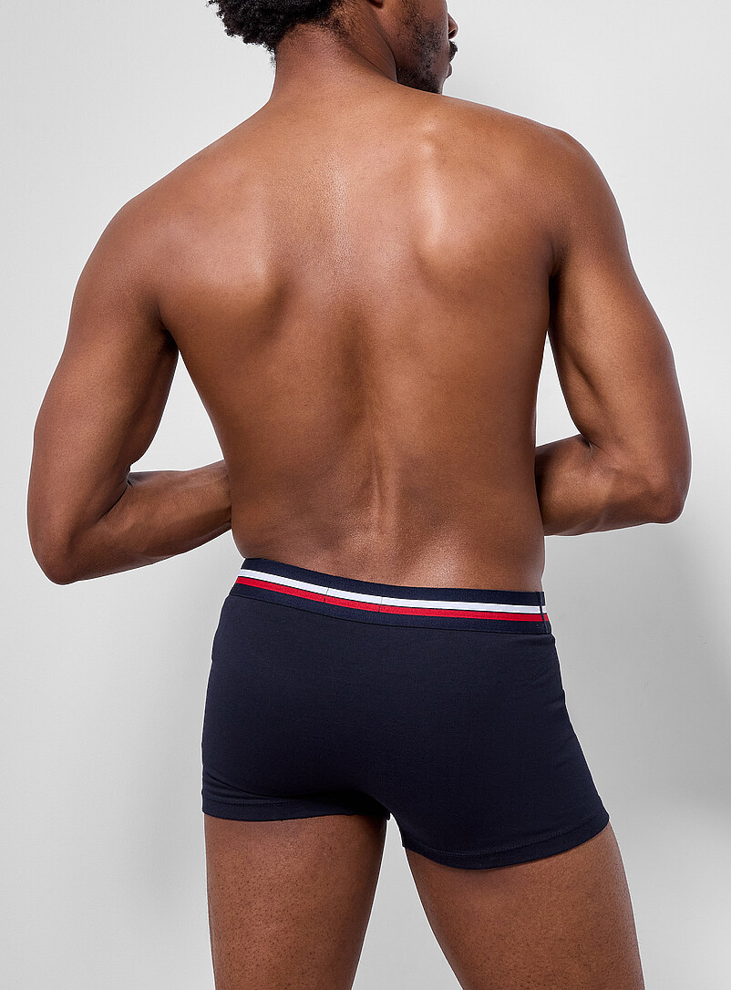 Lacoste Grey 3" striped-band stretch trunk Cotton for men