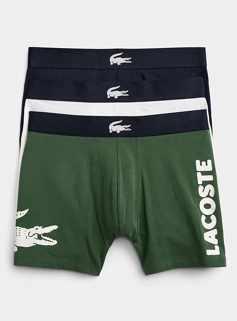 Large croc boxer briefs 3-pack, Lacoste, Shop Men's Underwear Multi-Packs  Online