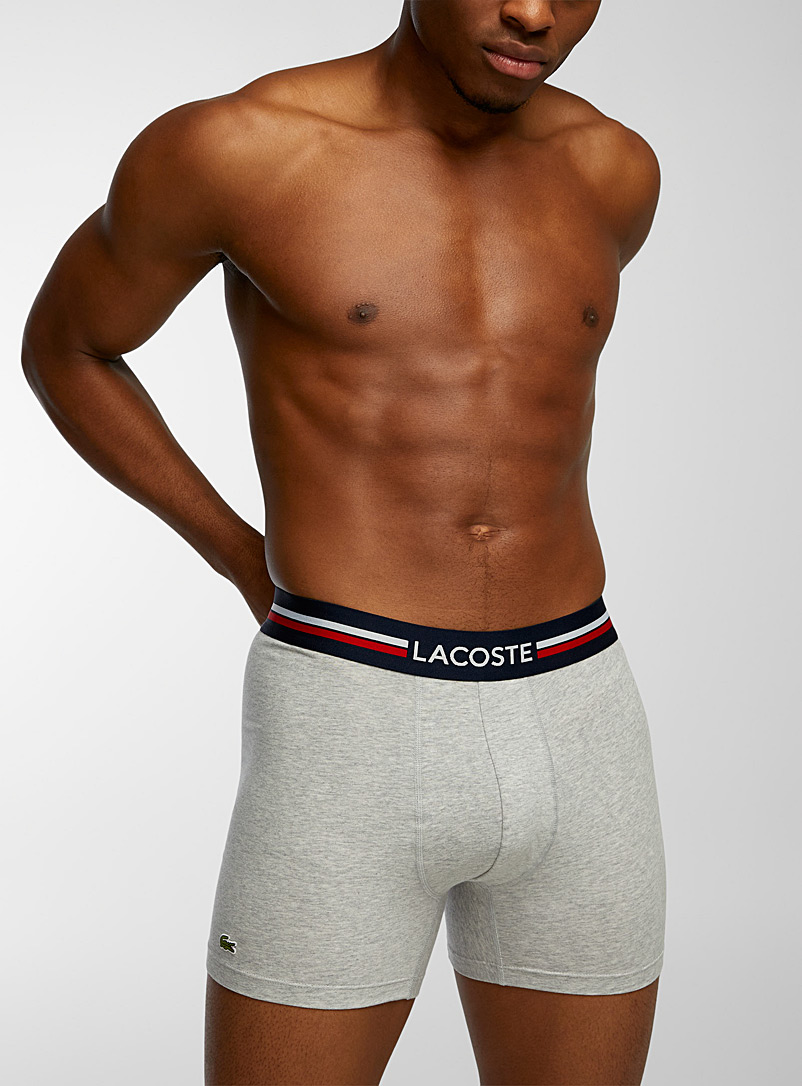 Lacoste Pale Grey Tricolour waist boxer brief for men