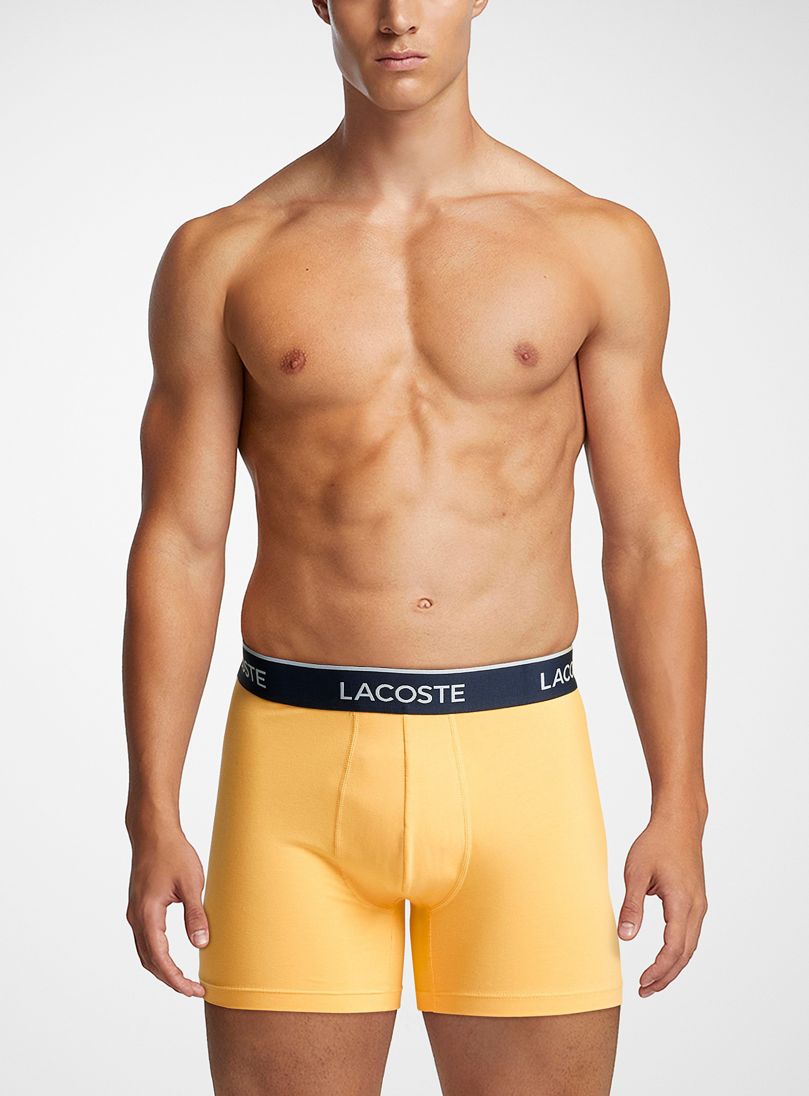 Lacoste Logo-waist Colourful Boxer Brief In Golden Yellow