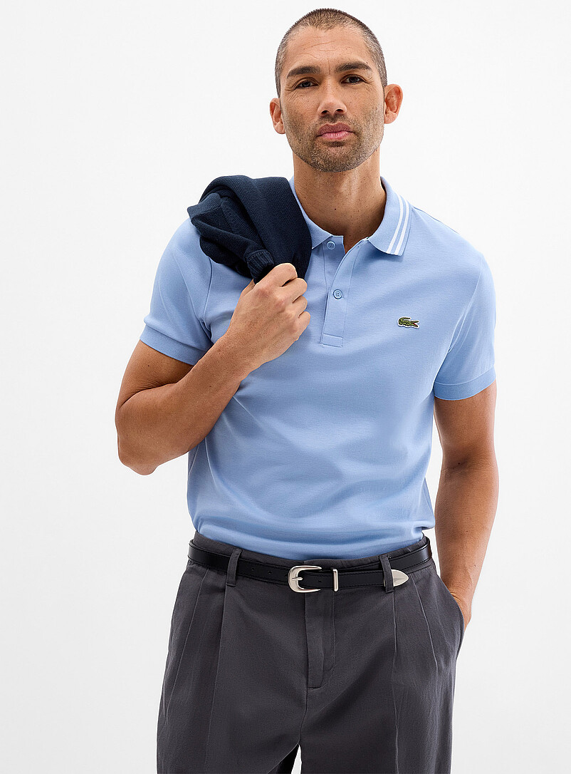 Exclusive Striped-Collar Jersey Polo Regular Fit