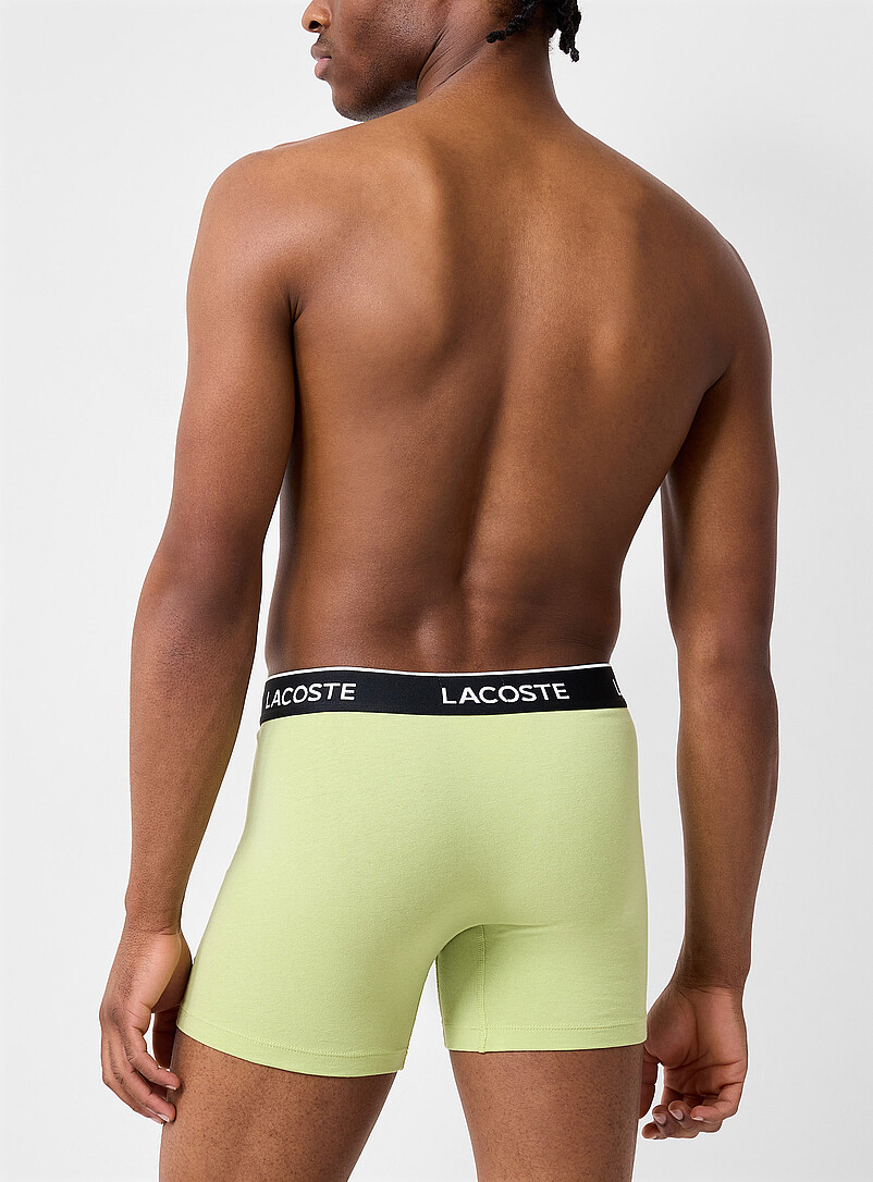 5" black-waist coloured boxer brief Cotton Stretch product image 2