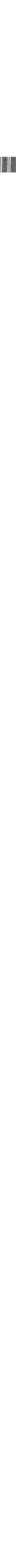 Gris assorti