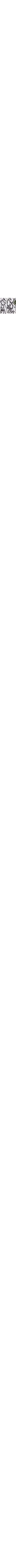 Blanc à motifs