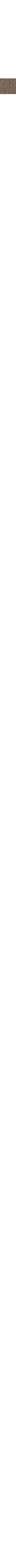 Slate Grey